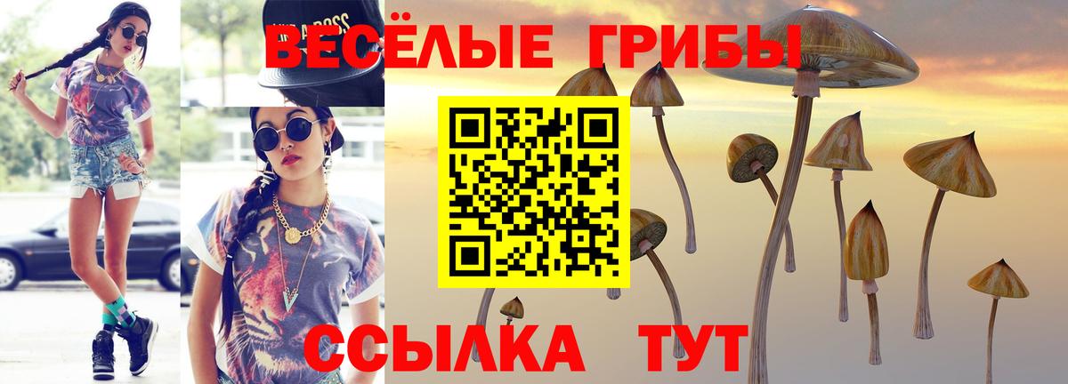 Отрадное  Псилоцибиновые грибы ЛСД  Вход с VPN 